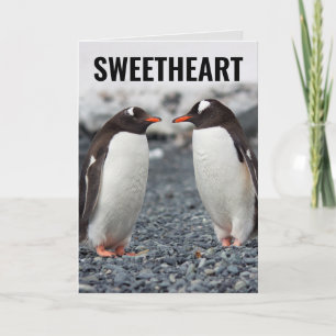 PENGUIN ROMANTIC BIRTHDAY CARDS