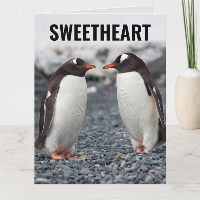 PENGUIN ROMANTIQUE GRANDE CARTE D'ANNIVERSAIRE (Devant)