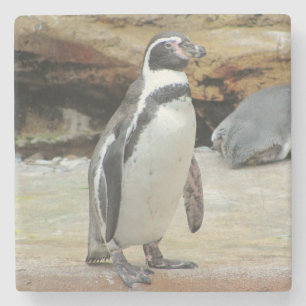 Penguin Standing Alone Stone Coaster