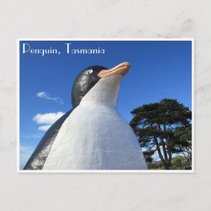 penguin tasmania postcard