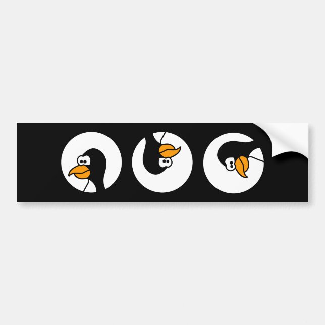 Penguin turns in circles bumper sticker (Front)