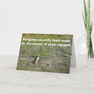 Penguin Valentine Holiday Card