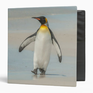 Penguin walking on the beach binder