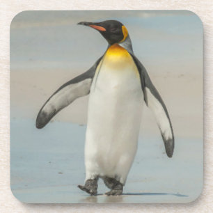 Penguin walking on the beach coaster
