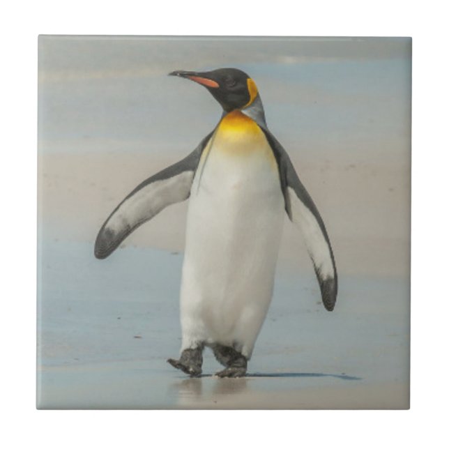 Penguin walking on the beach tile (Front)