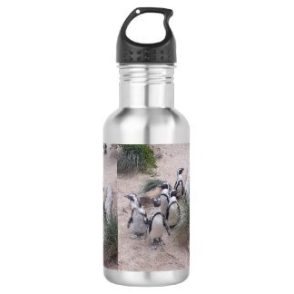Penguin waterbottle 532 ml water bottle