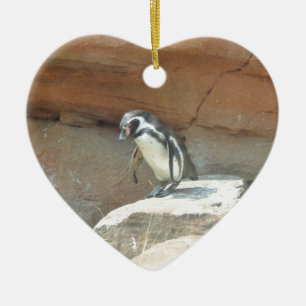 Penguin, Wildlife, Animal, Wild Bird, Zoo, Summer Ceramic Ornament