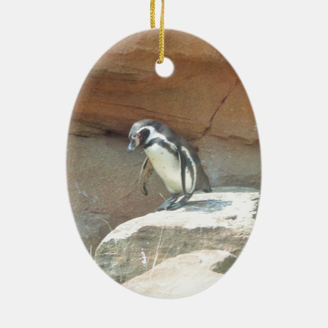 Penguin, Wildlife, Animal, Wild Bird, Zoo, Summer Ceramic Ornament (Back)