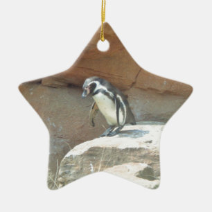 Penguin, Wildlife, Animal, Wild Bird, Zoo, Summer Ceramic Ornament