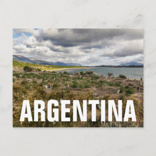 Penguinera Postcard