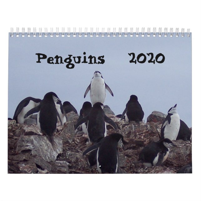 Penguins - 2020 Calendar (Cover)