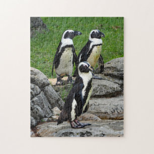Penguins 599 jigsaw puzzle