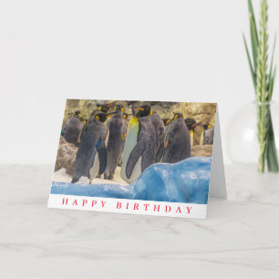 Penguins at the zoo birthday card