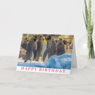 Penguins at the zoo birthday card