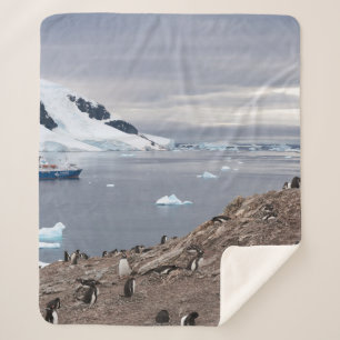 PENGUINS BESIDE SEA SHERPA BLANKET