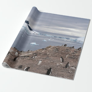 PENGUINS BESIDE SEA WRAPPING PAPER