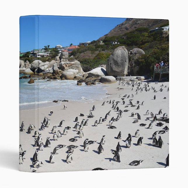 Penguins Boulders Beach | South Africa Binder (Front/Spine)