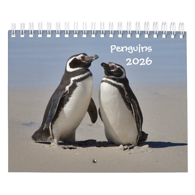 Penguins Calendar (Cover)