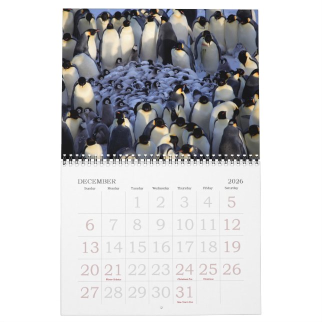 Penguins Calendar (Dec 2026)