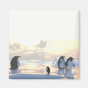  penguins chilling on an ice floe     magnet