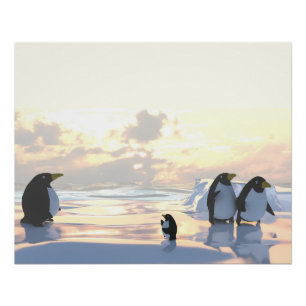  penguins chilling on an ice floe     poster