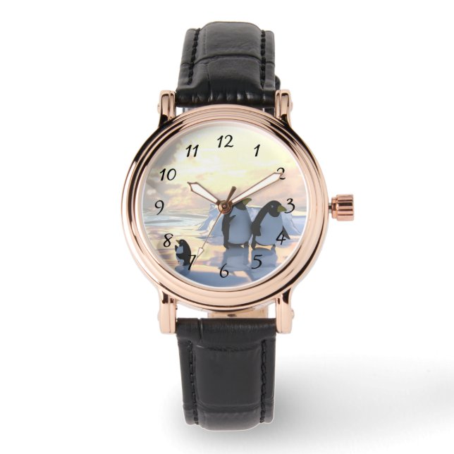  penguins chilling on an ice floe     watch (Front)