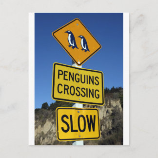 Penguins crossing yellow road sign postcard