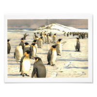 Penguins in Antarctica illustration