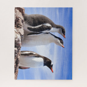 Penguins in Antarctica Jigsaw Puzzle