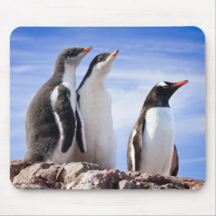 Penguins in Antarctica Mouse Pad