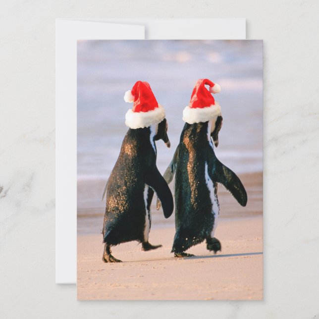 Penguins in Santa Hats on the Beach Holiday Card (Front)