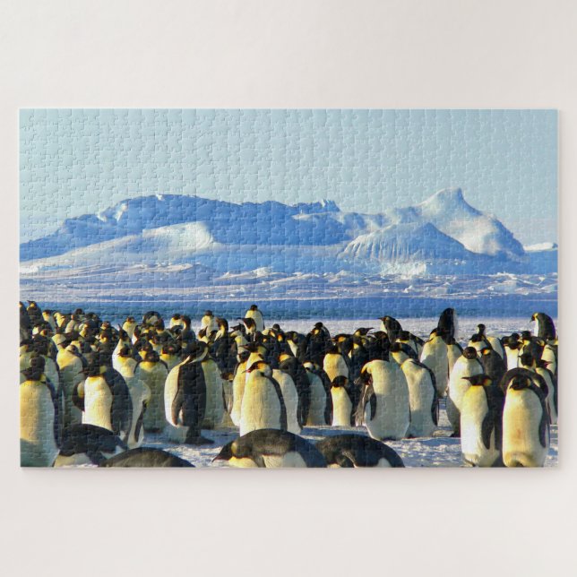 Penguins Jigsaw Puzzle (Horizontal)