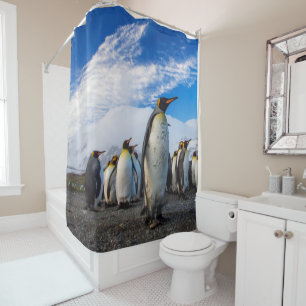 Penguins Marching Blue Sky