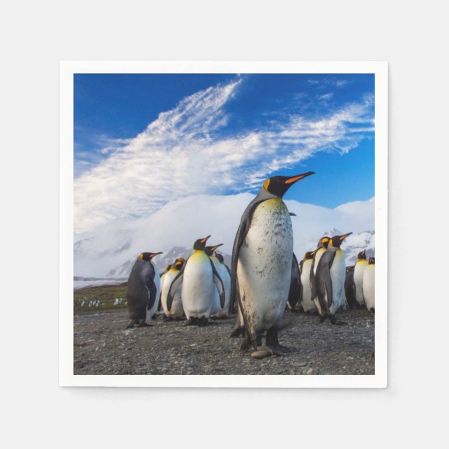 Penguins Marching Blue Sky Napkin (Front)