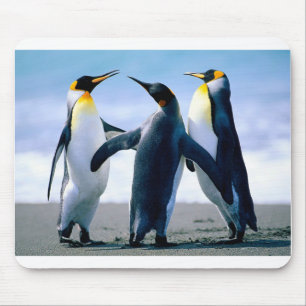 Penguins Mouse Pad