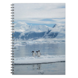 Penguins on an iceberg notebook