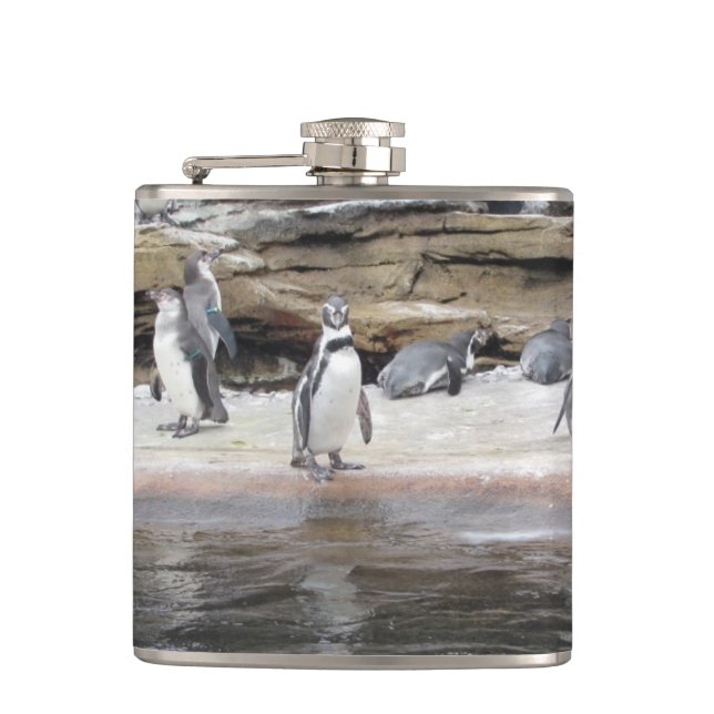 Penguins on the Rocks Hip Flask (Front)