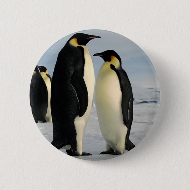 penguins-poop-from-outer-space 2 inch round button (Front)