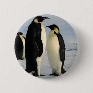 penguins-poop-from-outer-space 2 inch round button