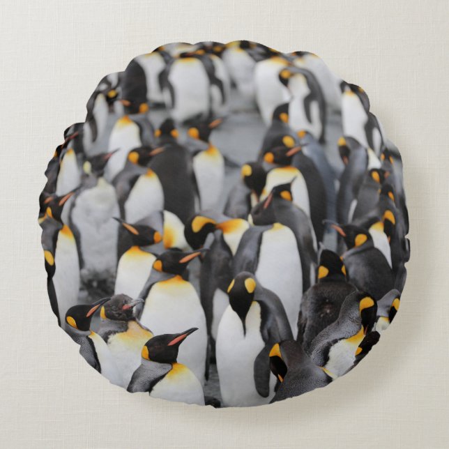 PENGUINS ROUND PILLOW (Front)