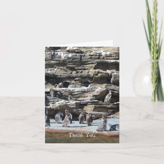 Penguins Thank You (Front)