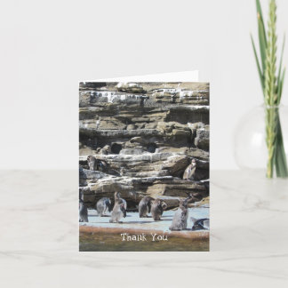 Penguins Thank You Card