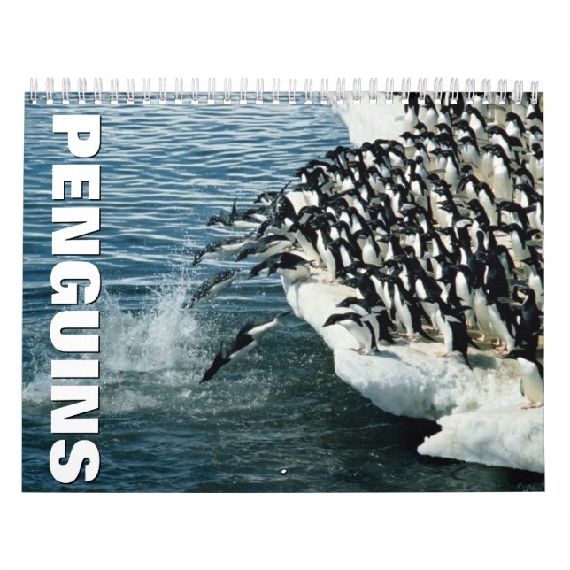 Penguins Wall Calendar (Cover)