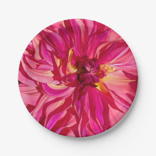 Penhill Dark Monarch dahlia closeup paper plates
