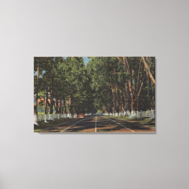 Peninsula Highway US 101 El Camino Real View Canvas Print (Front)