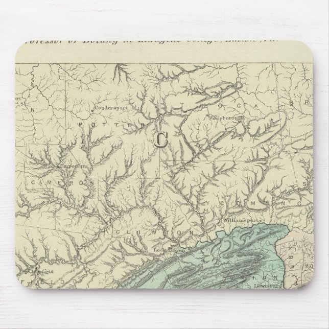 Penn flora mouse pad (Front)