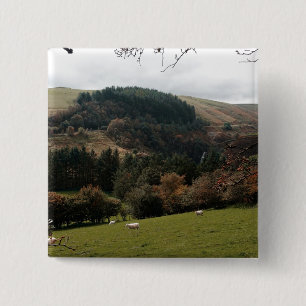 Pennant Valley Wales 2 Inch Square Button