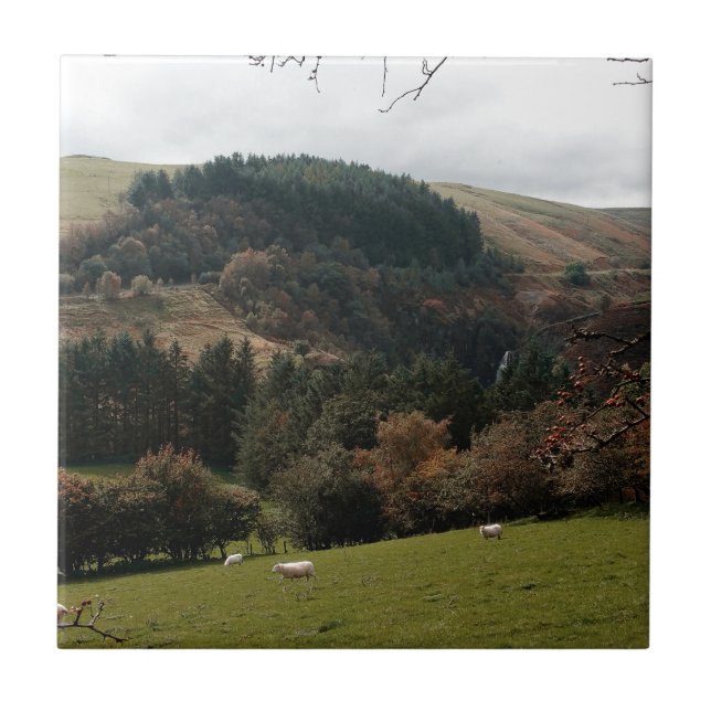 Pennant Valley Wales Tile (Front)