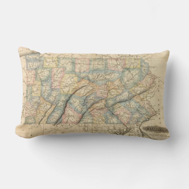 Pennsylvania 8 lumbar pillow (Front)