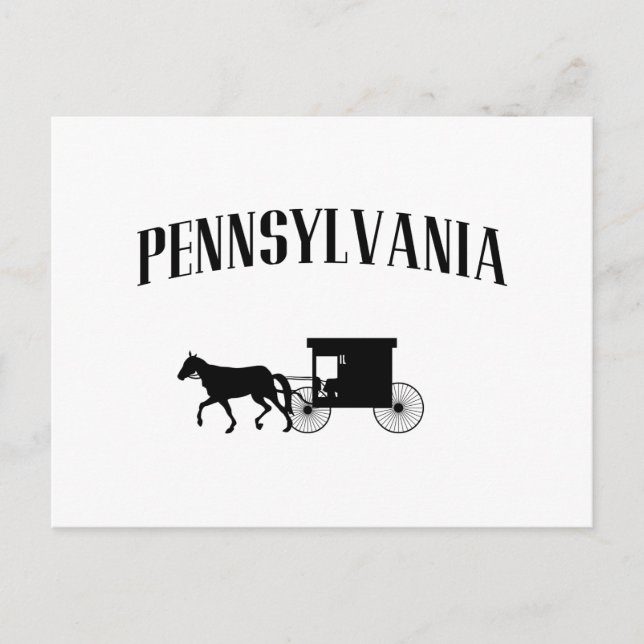 Pennsylvania Amish Carriage Postcard (Front)